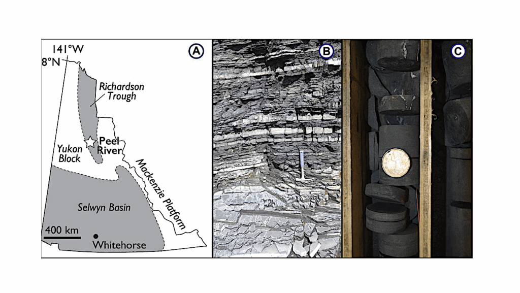 Dynamic Deep Marine Oxygenation During The Early And Middle Paleozoic
