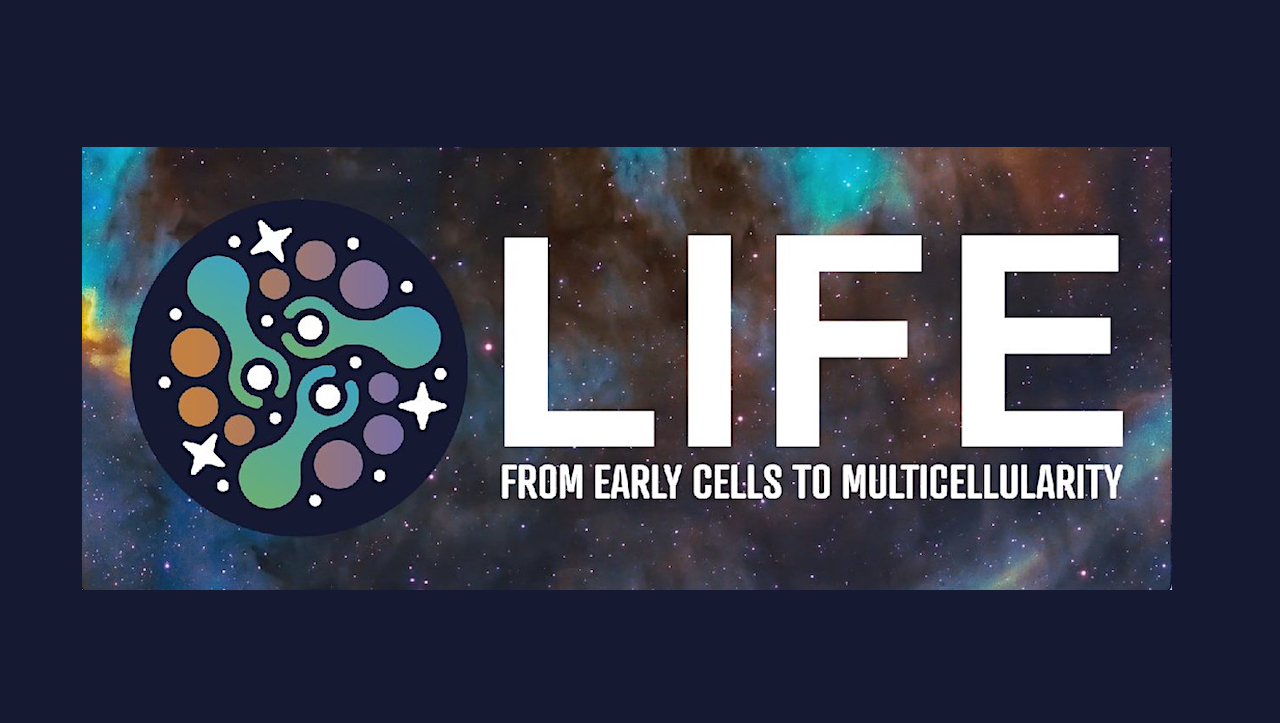 2025 LIFE NASA RCN Seminar Series