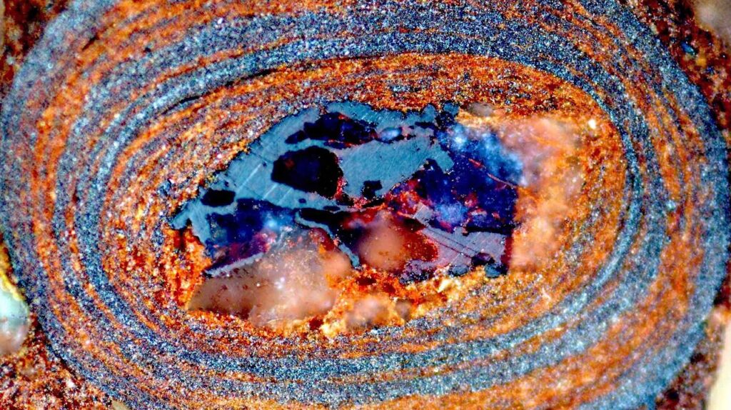 Minute Witnesses From Earth’s Primordial Sea