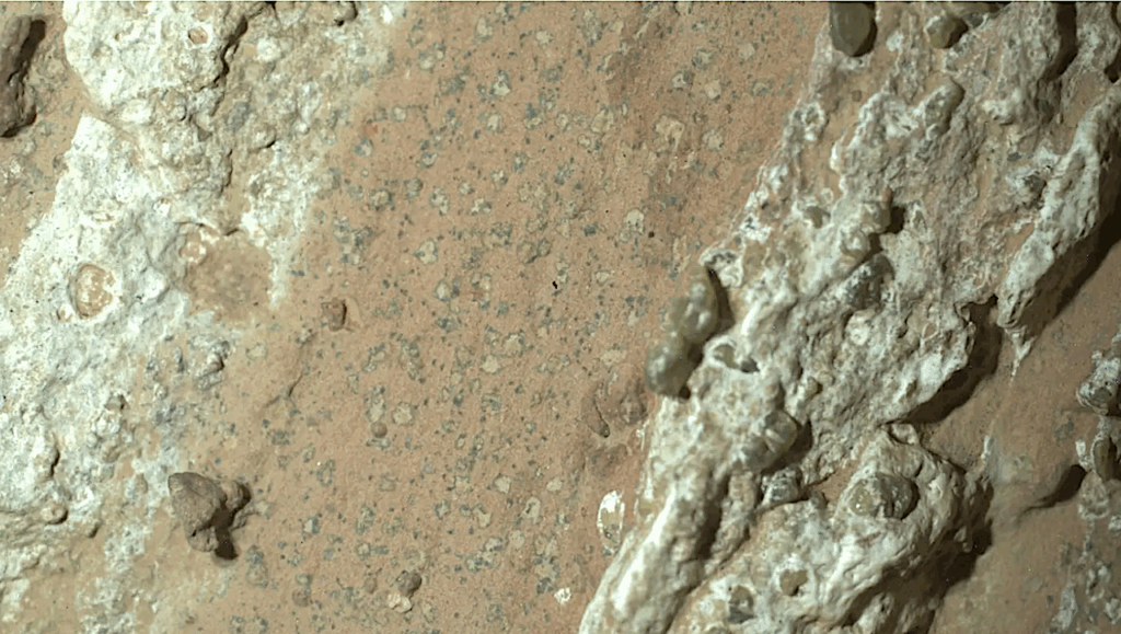 NASA Says Mars Rover Discovered Potential Biosignature Last Year