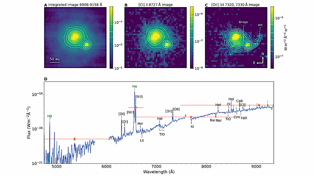 Observation Of An Accreting Planetary-Mass Companion With Signs Of Disk-Disk Interaction in Orion