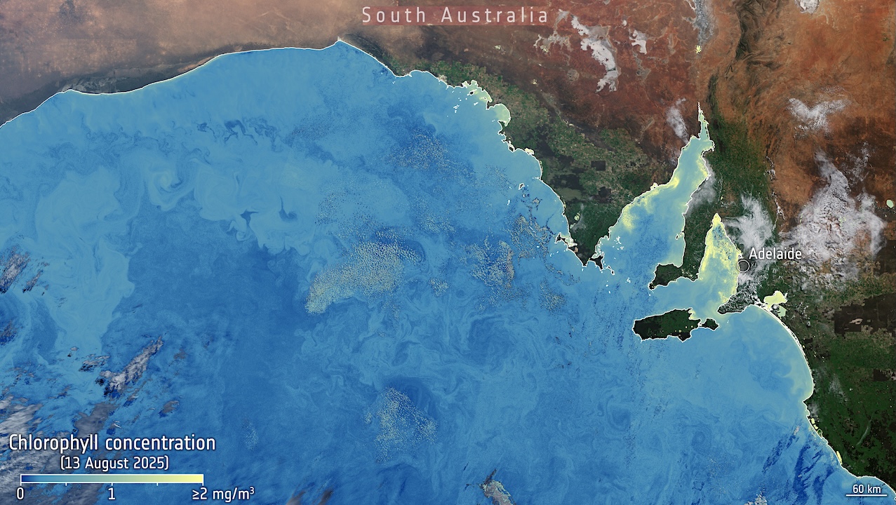 Orbital Biosignature Recon: Algae Bloom Chlorophyll Near South Australia