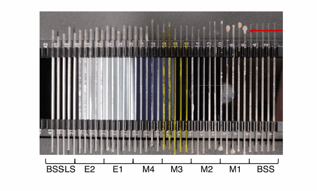 Assessment Of Methods For Evaluating Structural Stability Of Cell Envelope Fragments In Hypersaline Brines As Biosignatures Of Ancient Microbial Life