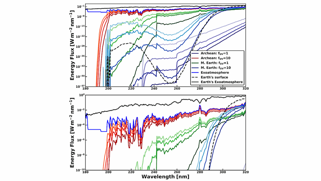 Evaluating Habitability and Biosignature Detection on TOI-700 d: The Role of UV Environment and Atmospheric Pressure