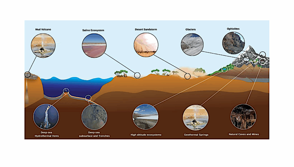 Planetary Analog Sites In The Indian Subcontinent And The Indian Ocean: Underexplored Environments Suited For Astrobiological And Space Research