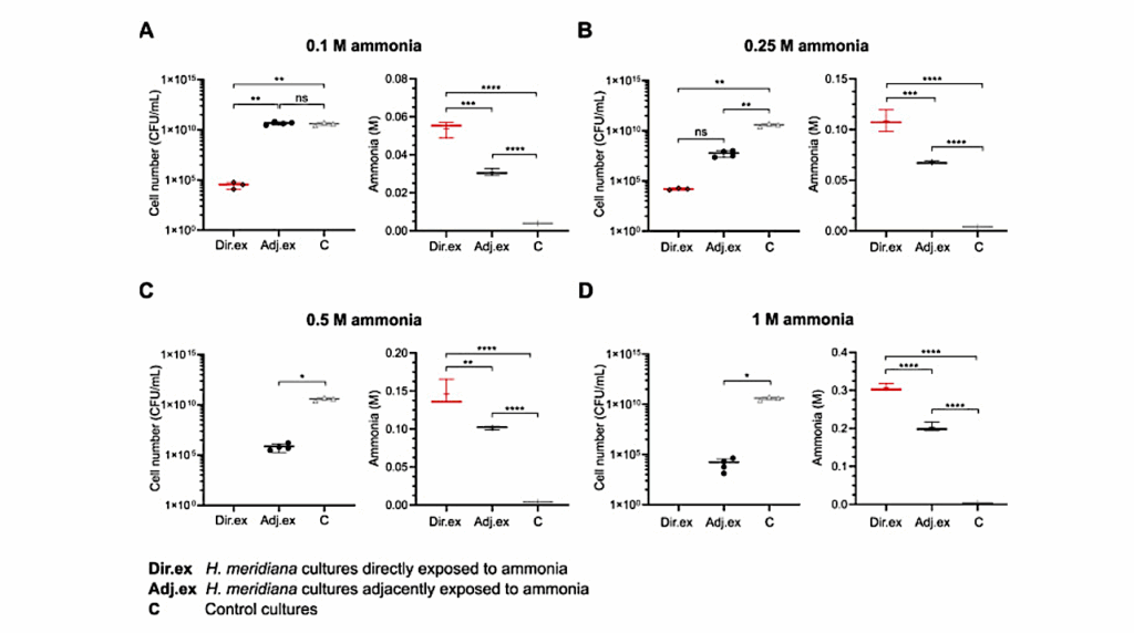 Spatiotemporal Impacts of Enceladus- and Earth-relevant Ammonia Gas On Cultivation of Extremophile Halomonas meridiana