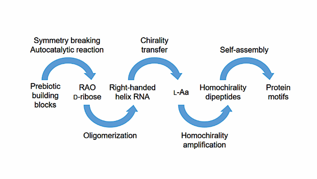 The Origin of Biomolecular Homochirality