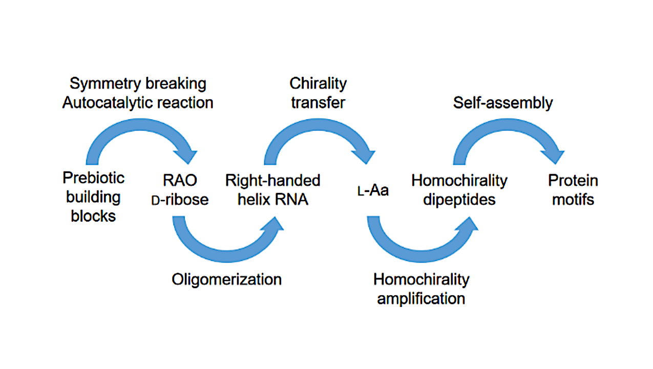 The Origin of Biomolecular Homochirality