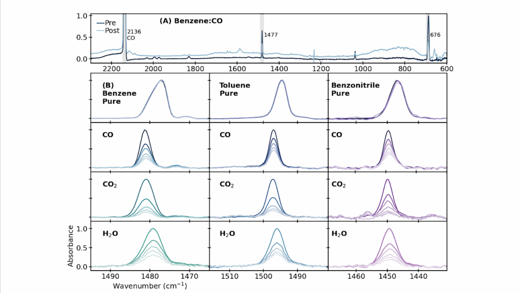The Survival Of Aromatic Molecules In Protoplanetary Disks