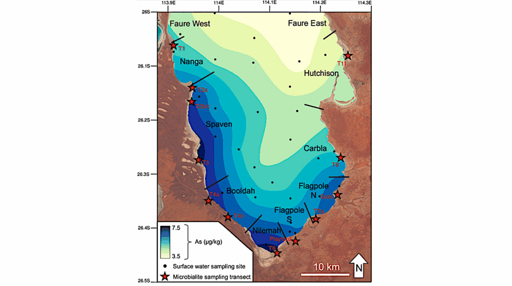 Arsenic Enrichment Patterns Are Defined By Microbialite Morphology, Fabric, And Accretion Mechanism.
