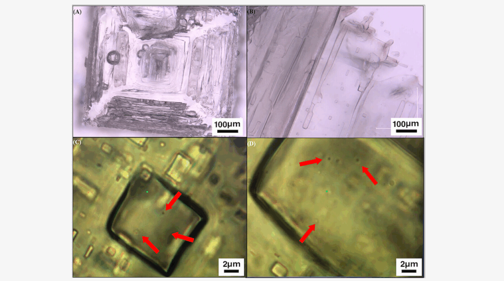 Evaporitic Preservation of Modern Carotenoid Biomarkers and Halophilic Microorganisms in Mars Analog Hypersaline Environments