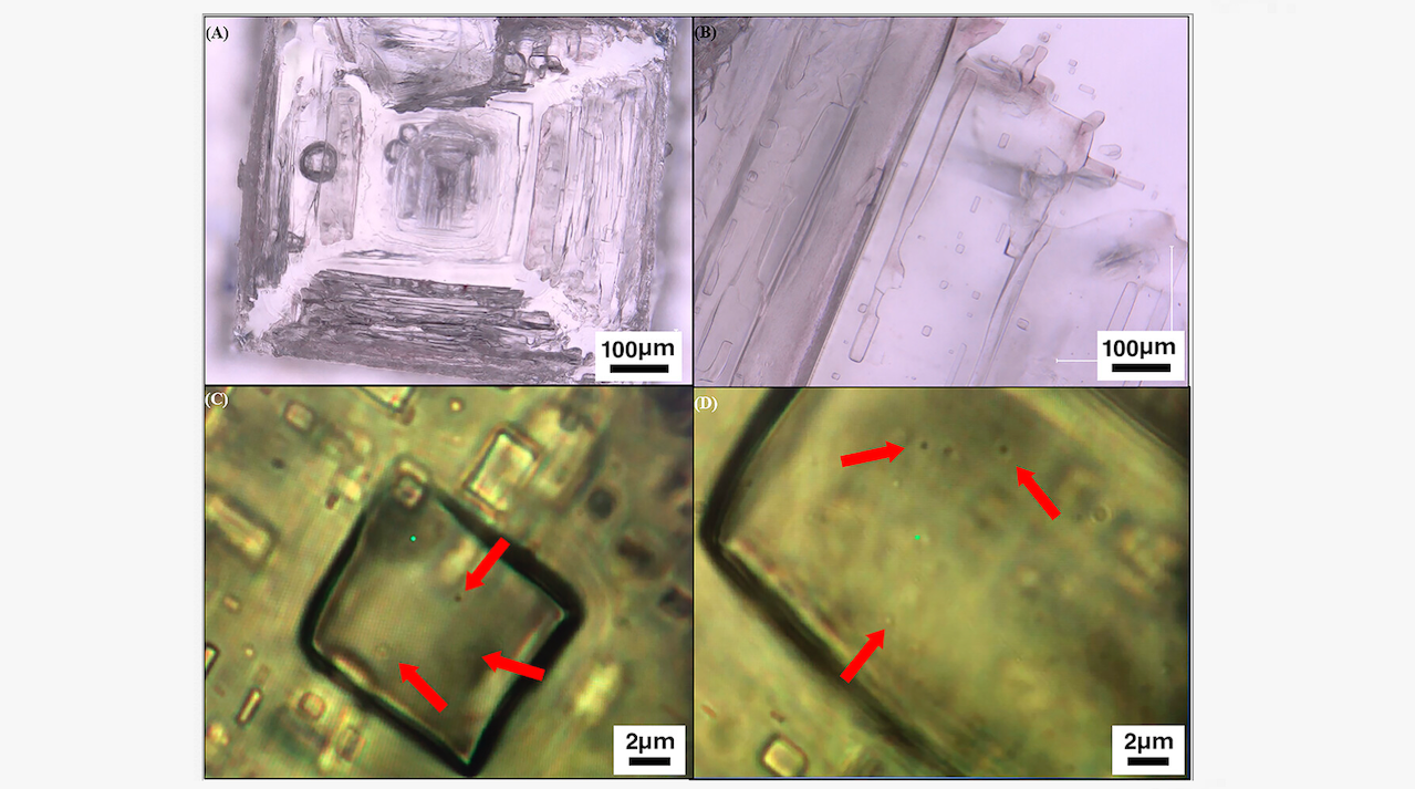 Evaporitic Preservation of Modern Carotenoid Biomarkers and Halophilic Microorganisms in Mars Analog Hypersaline Environments