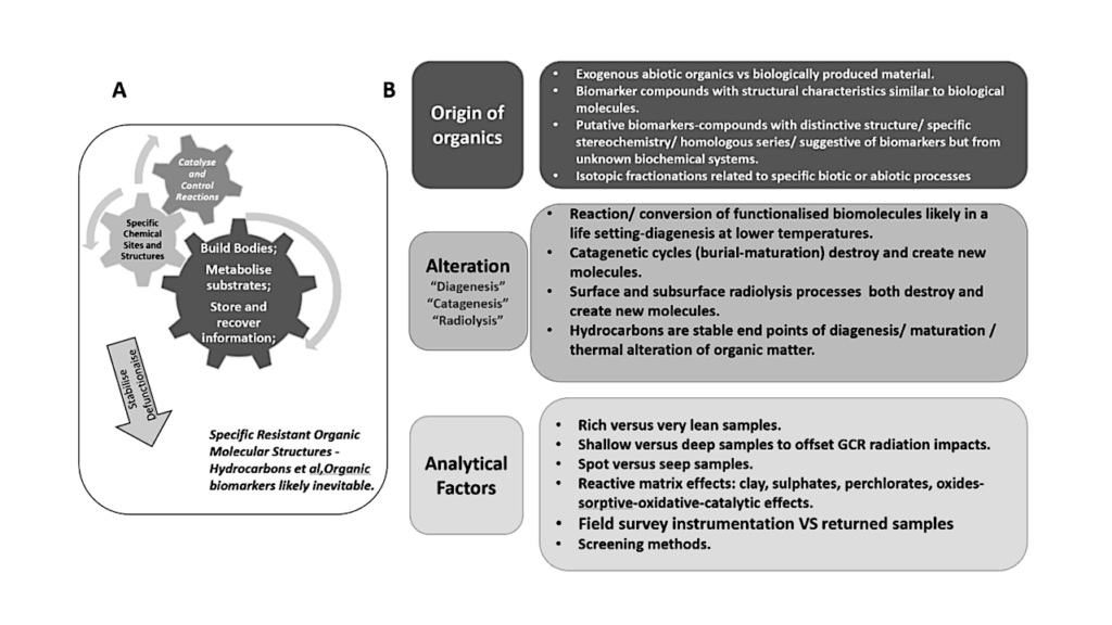 Hidden In Plain Sight? Some Challenges And Needs For Practical Planetary Biosignature Exploration, Both Home And Away-A Mini-Review