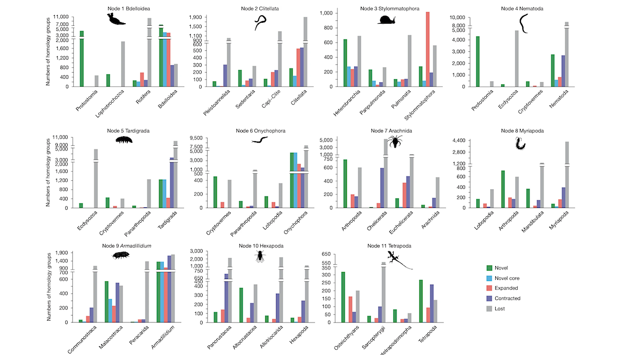 How Did Earth’s Animal Life Transition From Aquatic To Terrestrial Environments?