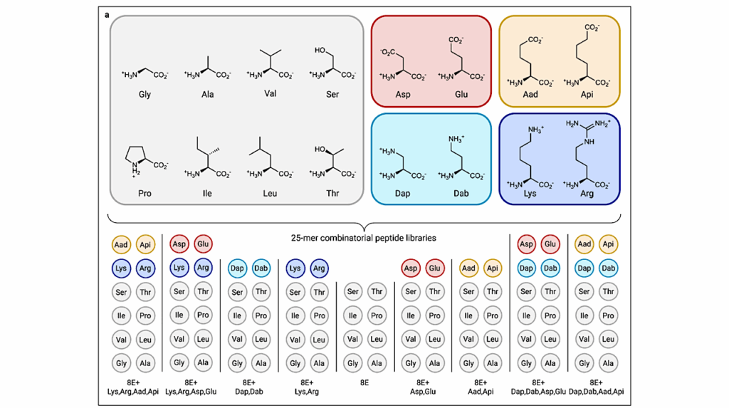 Prebiotically Plausible Peptides Can Self-assemble Into β-rich Nanostructures