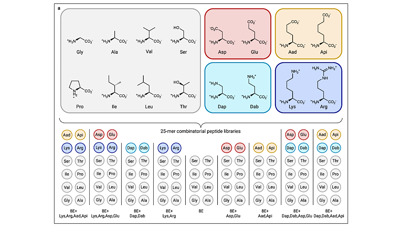 Prebiotically Plausible Peptides Can Self-assemble Into β-rich Nanostructures