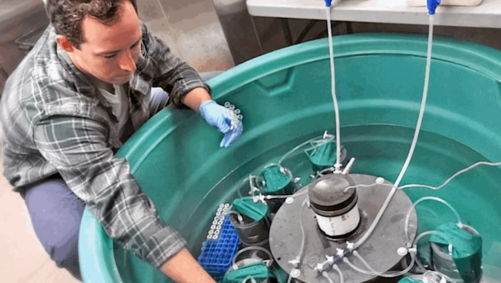 Small Aquatic Systems Found To Fix 15% Of Earth’s Nitrogen