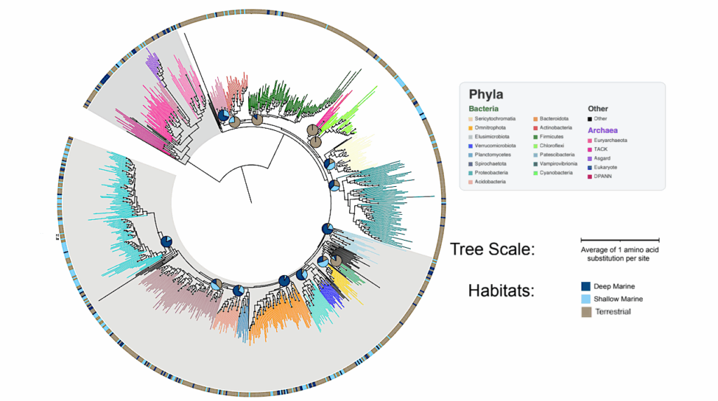 Time-resolved Phylogenomics Analysis Reveals Patterns In Biosphere Nutrient Limitation Through Earth History
