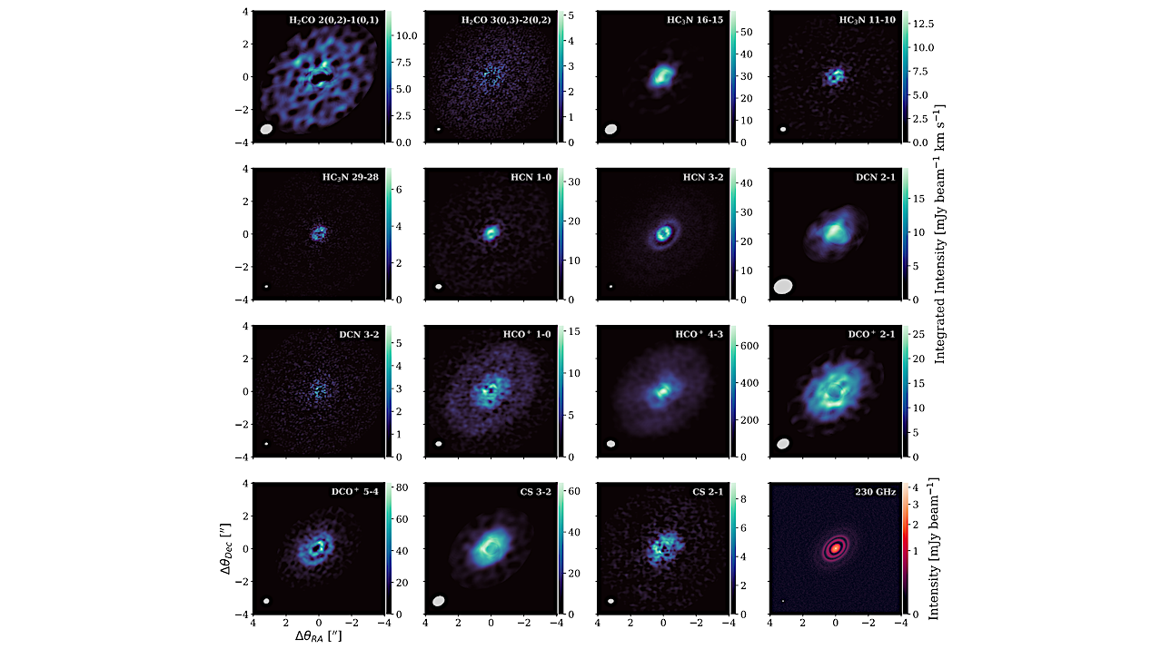 Unveiling the Chemical Complexity and C/O Ratio of the HD 163296 Protoplanetary Disk: Constraints from Multi-line ALMA Observations of Organics, Nitriles, Sulfur-bearing, and Deuterated Molecules