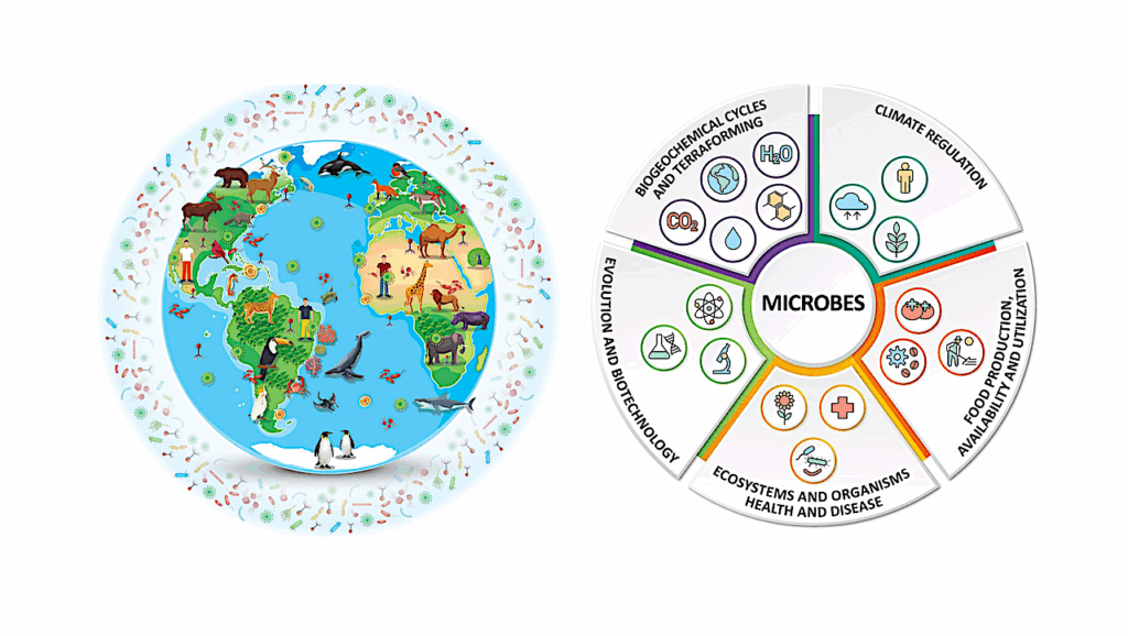 Why Conserving The Invisible 99% Of Life On Our Home World Is Fundamental To Planetary Health