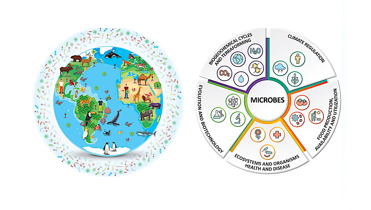 Why Conserving The Invisible 99% Of Life On Our Home World Is Fundamental To Planetary Health