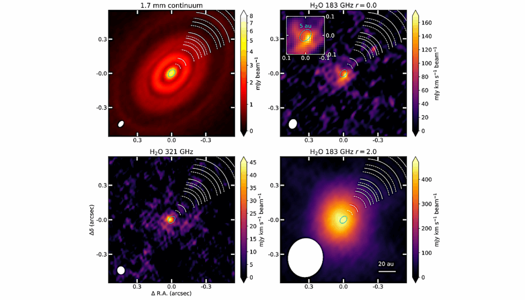 Zooming Into The Water Snowline: High Resolution Water Observations of the HL Tau disk