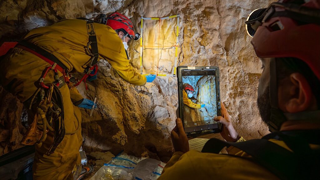 Away Team Training: Tricorder Use During Cave Microbiology Assay