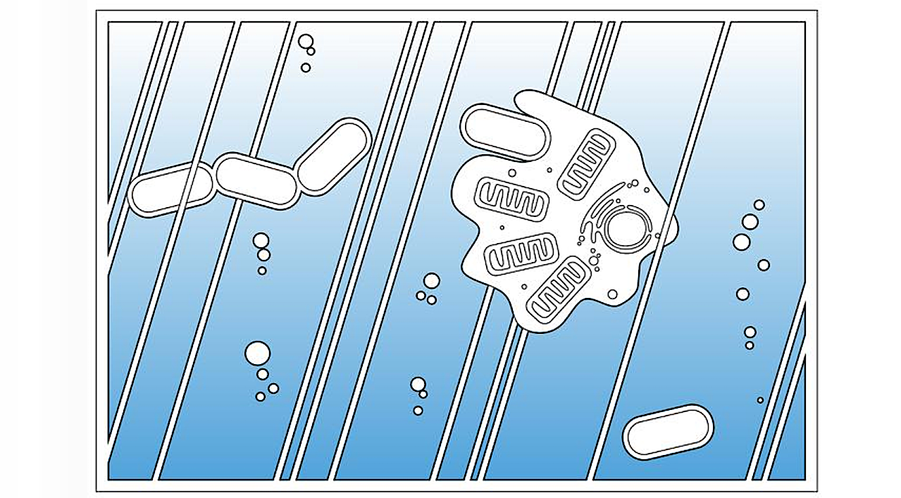 Complex Life Developed Earlier Than Previously Thought, Nature Study Reveals
