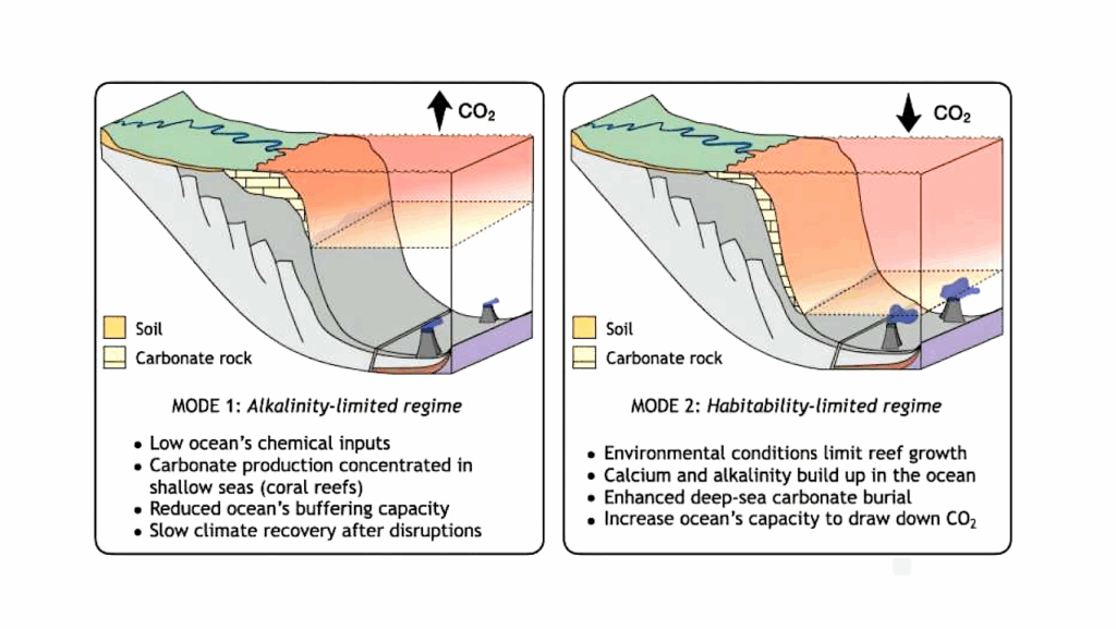Coral Reefs Have Stabilized Earth’s Carbon Cycle For The Past 250 Million Years