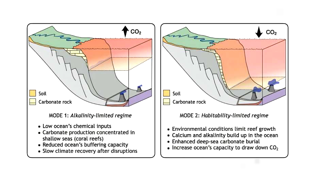 Coral Reefs Have Stabilized Earth’s Carbon Cycle For The Past 250 Million Years