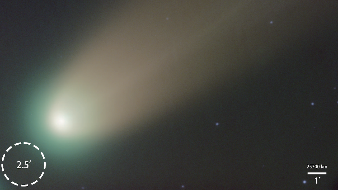 From Emission To Absorption: The FAST Observation Of The OH 18-cm Lines From The Comet C2025/A6