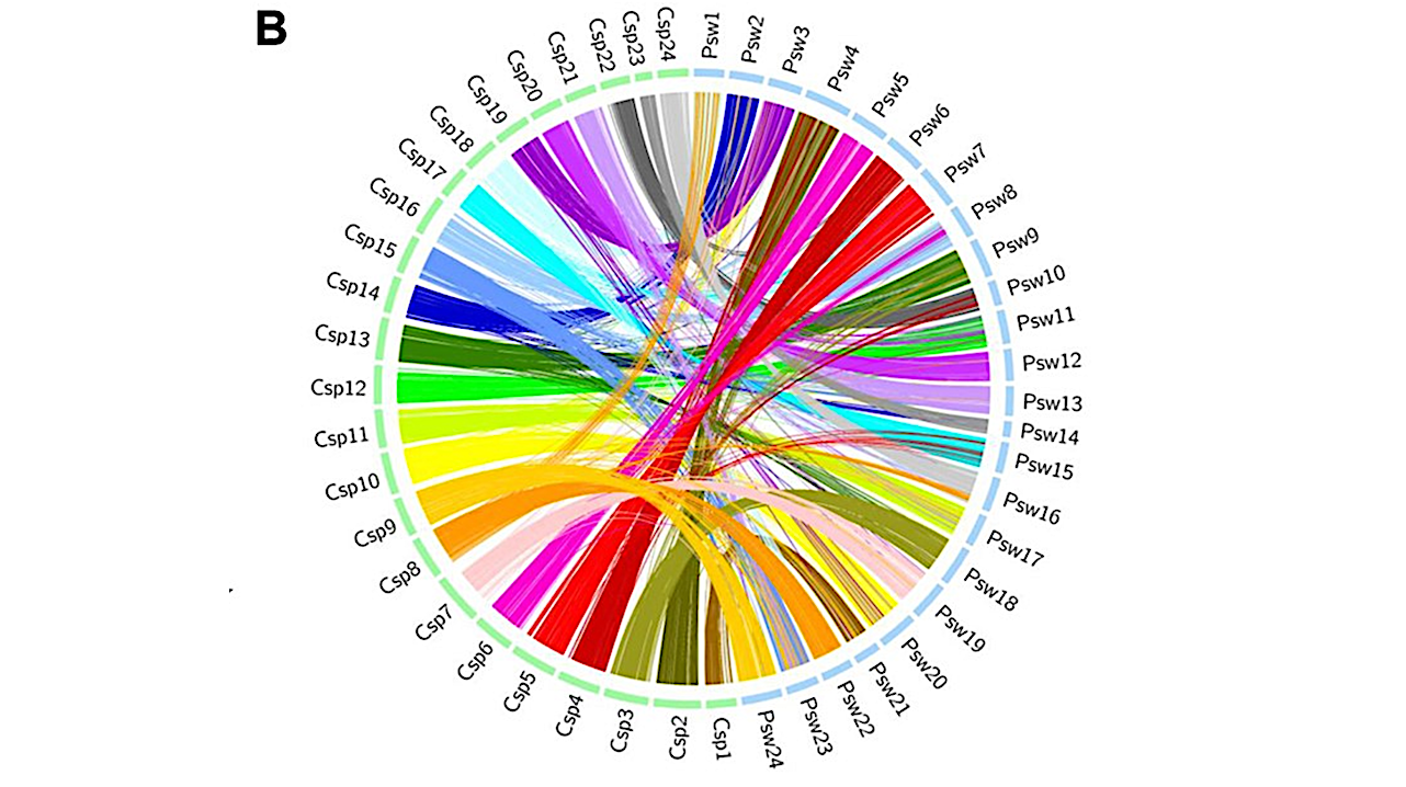 HKUST Launches World’s First Deep-sea Multi-omics Resource Platform Empowering Global Research Into Biological Adaptation In Extreme Environments