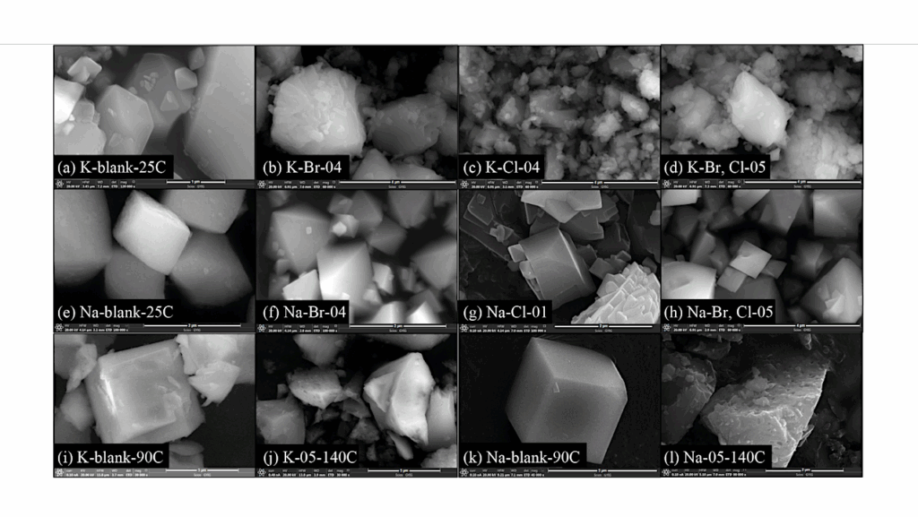 Mars’ Salty Secrets: How Ancient Brines Imprinted Their Chemical Fingerprints In Martian Minerals
