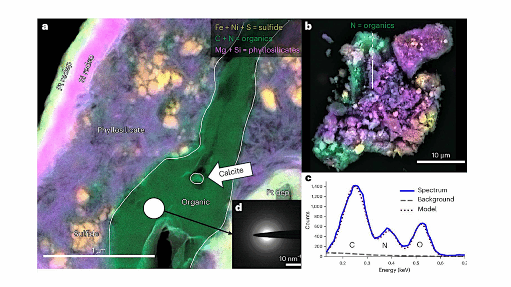 Nitrogen- And Oxygen-Rich Organic Material Indicative Of Polymerization In Pre-aqueous Cryochemistry On Bennu’s Parent Body