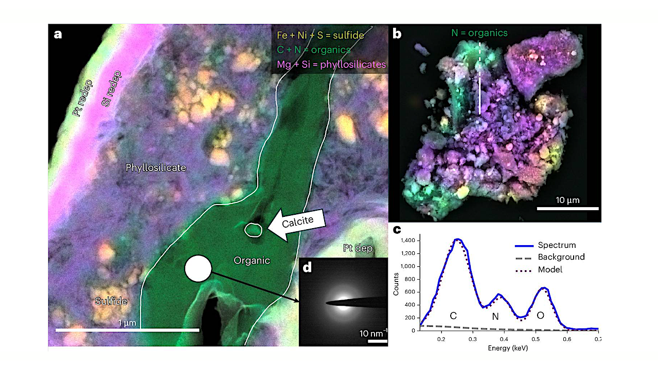 Nitrogen- And Oxygen-Rich Organic Material Indicative Of Polymerization In Pre-aqueous Cryochemistry On Bennu’s Parent Body