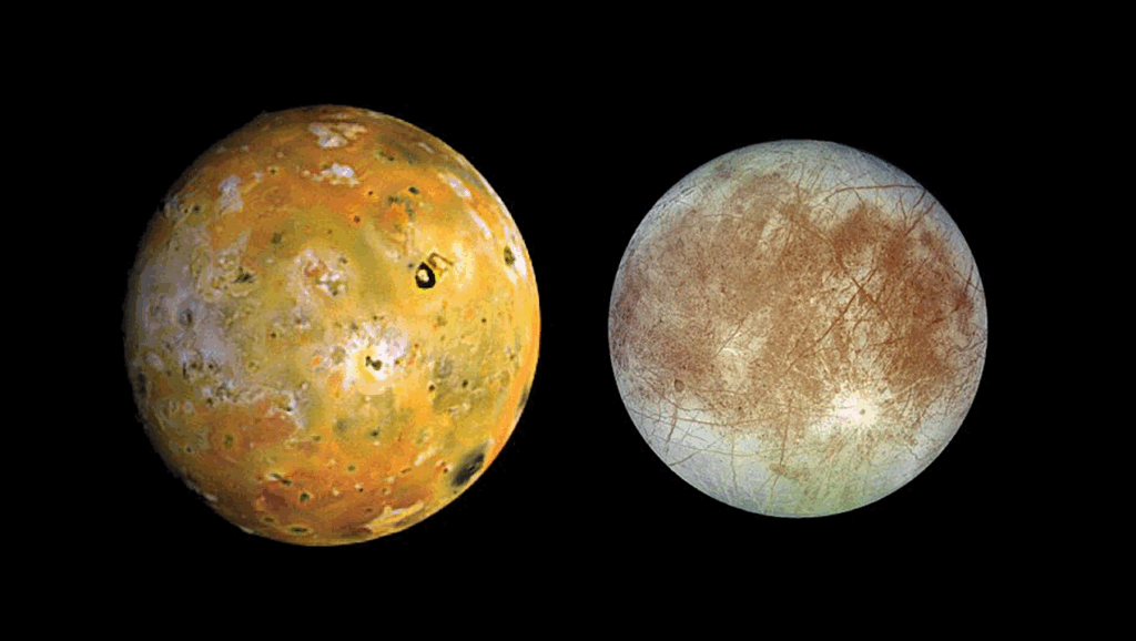 On The Divergent Evolution Of Io And Europa As Primordial Ocean Worlds