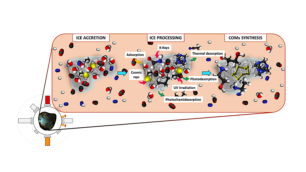 Photochemistry Of Interstellar Ice Forming Complex Organic Molecules