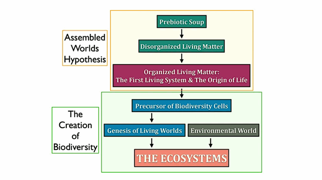 The Origin Of Life And Cellular Systems: A Continuum From Prebiotic Chemistry To Biodiversity