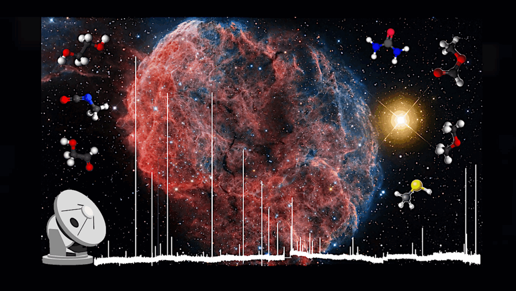 The Role Of Supernova Remnants For The Emergence Of Pre-biotic Chemistry In Molecular Clouds