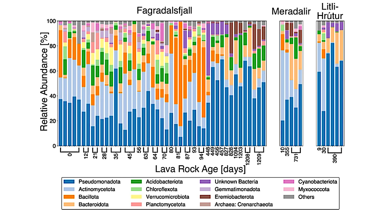 Three eruptions At The Fagradalsfjall Volcano In Iceland Show Rapid And Predictable Microbial Community Establishment