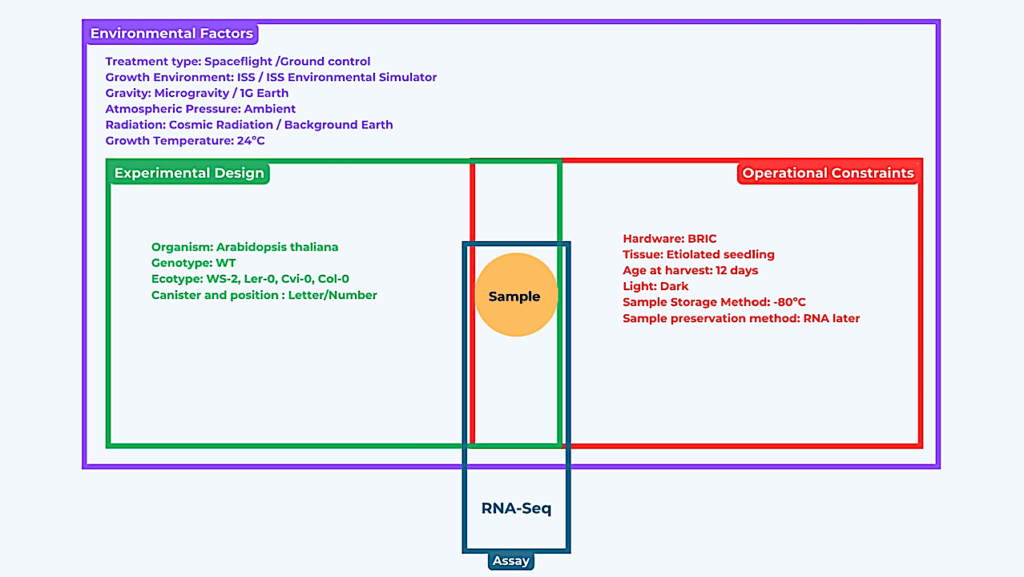 Understanding The ‘Spaceflight Treatment’ In Plant Space Biology: Experimental Practices, Metadata Workflows, And Data Re-analysis