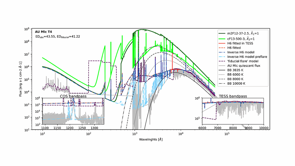 Young M Dwarfs Flare Activity Model: Towards Better Exoplanetary Atmospheric Characterisation
