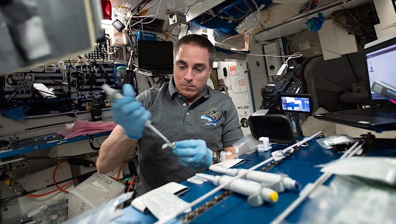 NASA Spaceline Current Awareness List #1,181 31 December 2025 (Space Life Science Research Results)