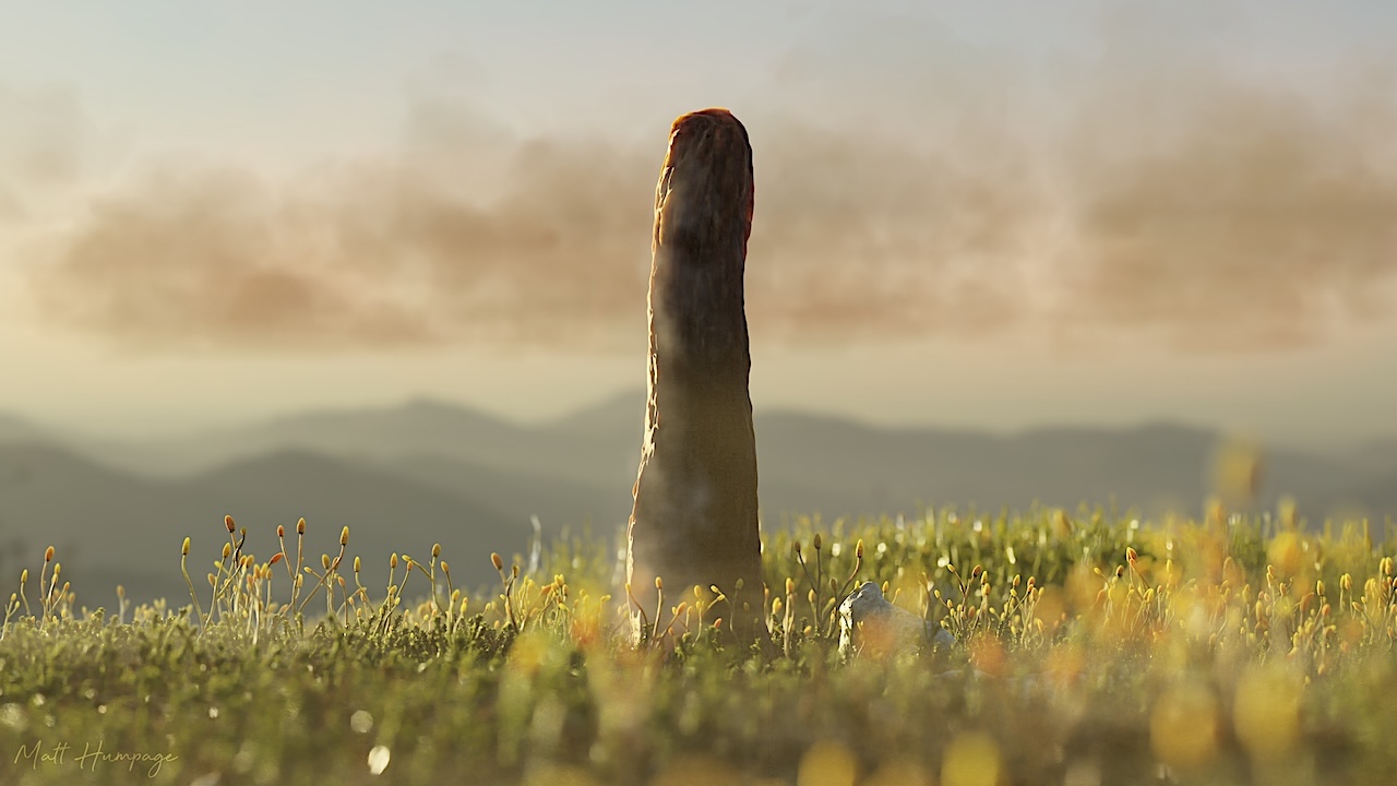 410 Million Year Old Fossil Of Prototaxites Defies Classification