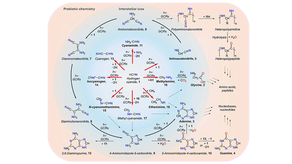 Abiotic Formation Of Nitrile Precursors To Amino Acids And Nucleobases In Interstellar Ice Analogues