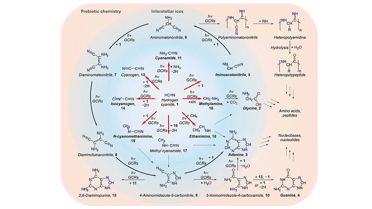Abiotic Formation Of Nitrile Precursors To Amino Acids And Nucleobases In Interstellar Ice Analogues