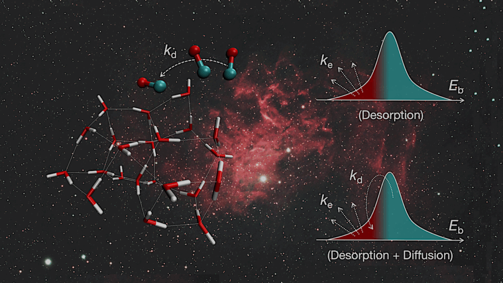 CO Diffusion on Interstellar Amorphous Solid Water: A Computational Study