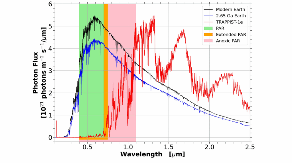 Dearth of Photosynthetically Active Radiation Suggests No Complex Life on Late M-Star Exoplanets