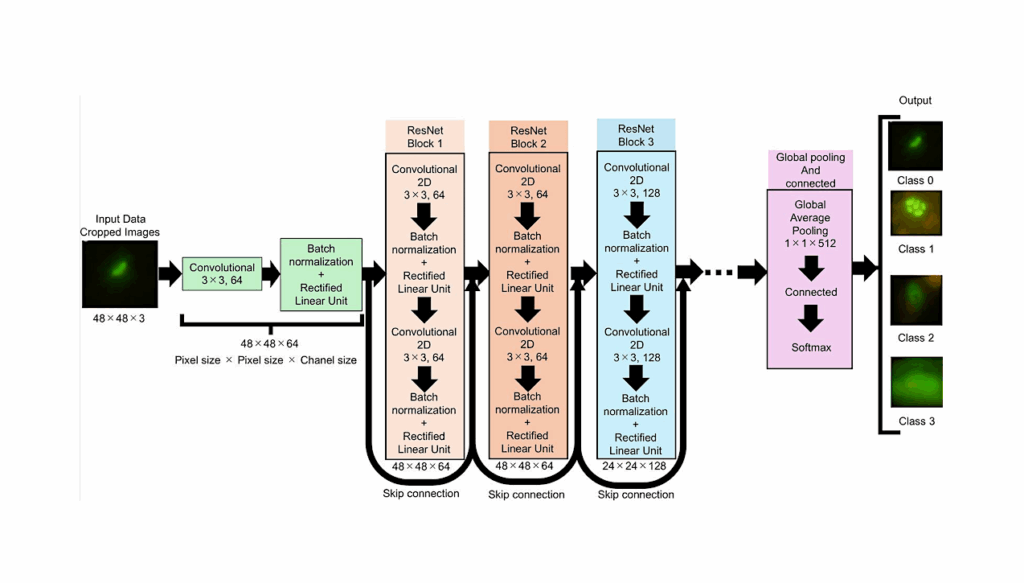 Deep Learning For Microbial Life Detection In Deep Subseafloor Samples: Objective Cell Recognition