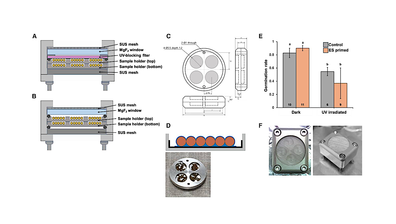 Extreme Environmental Tolerance And Space Survivability Of The Moss, Physcomitrium patens